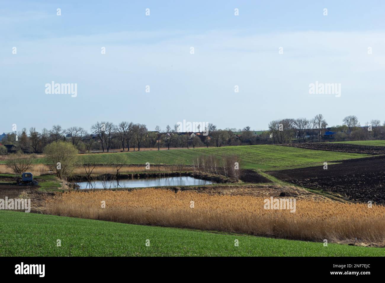 Roseaux sur la rive du lac, champ labouré et prairie verte, ciel avec nuages légers. Début du printemps. Banque D'Images