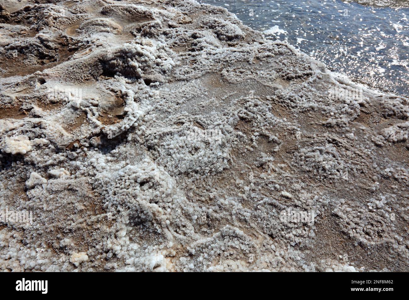 Salzablagerungen am Ufer, totes Meer, Jordanien / dépôts de sel sur le rivage, Mer Morte, Jordanie Banque D'Images