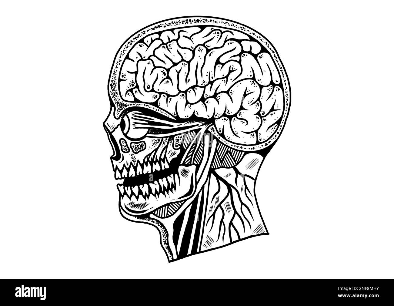 Old School traditionnel tatouage inspiré cool design graphique illustration tête humaine coupe anatomie en noir et blanc Banque D'Images