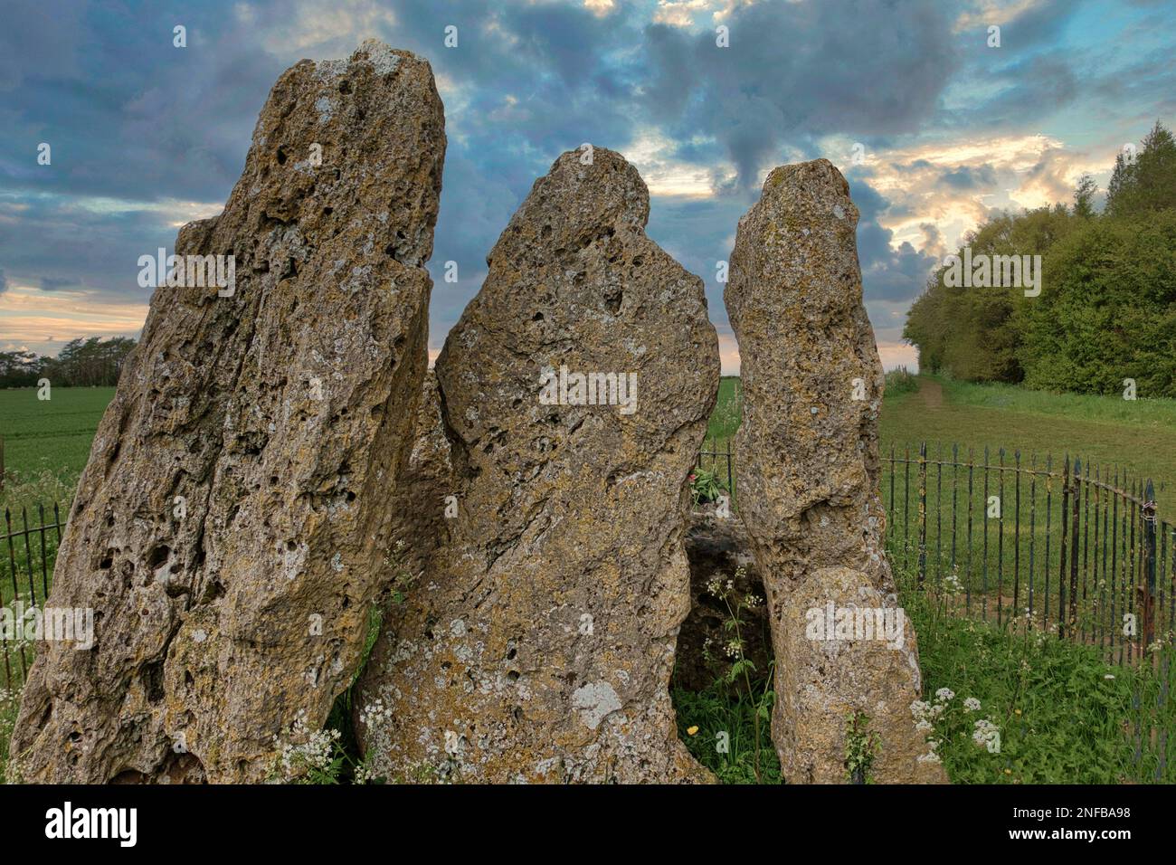 The Whispering Knights Rollright Stones, Oxfordshire, Royaume-Uni Banque D'Images