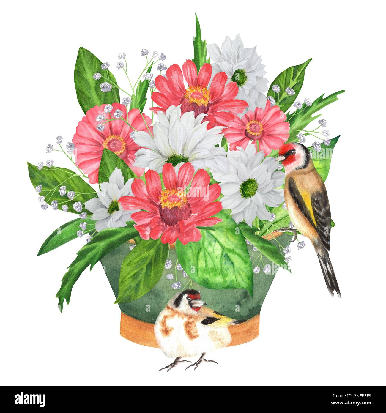 Jardin d'aquarelle dessiné à la main avec fleurs et oiseaux. Une petite partie du grand ensemble BIRDS GARDEN Banque D'Images