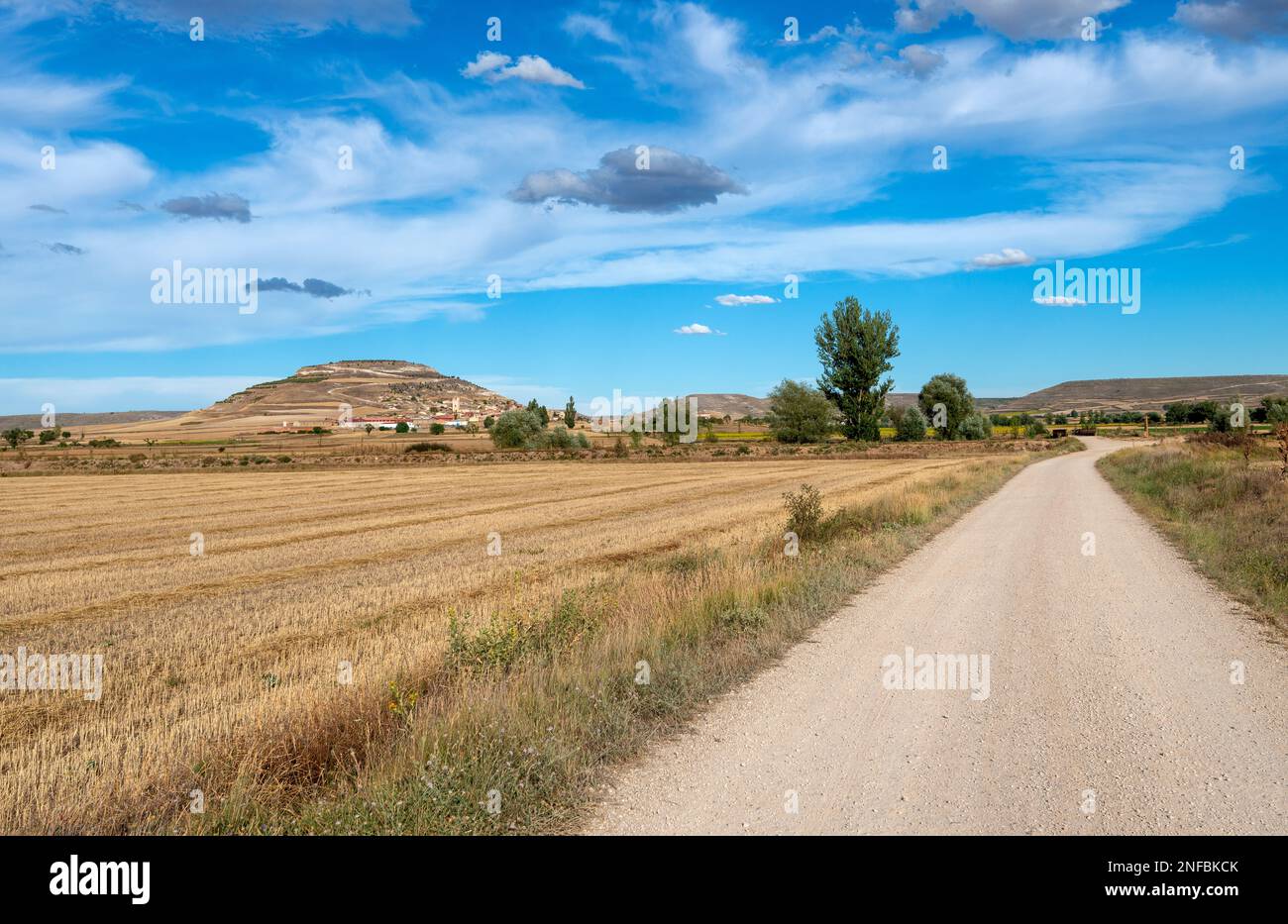 Vue sur le magnifique paysage aride vers Castrojeriz, une ville espagnole sur le Camino de Santiago dans la province de Burgos, Espagne Banque D'Images