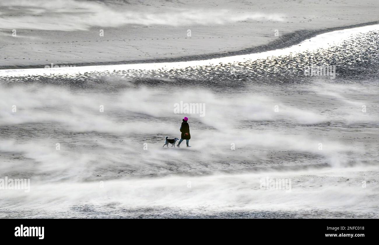 RETRANSMETTANT LA PHOTO EN AJOUTANT DES PHOTOGRAPHES NOMMER Une personne qui marche un chien sur la plage de Tynemouth sur la côte nord-est, alors que Otto Storm frappe des parties de l'Écosse et du nord-est de l'Angleterre alors qu'il se déplace à travers le Royaume-Uni vendredi. Banque D'Images