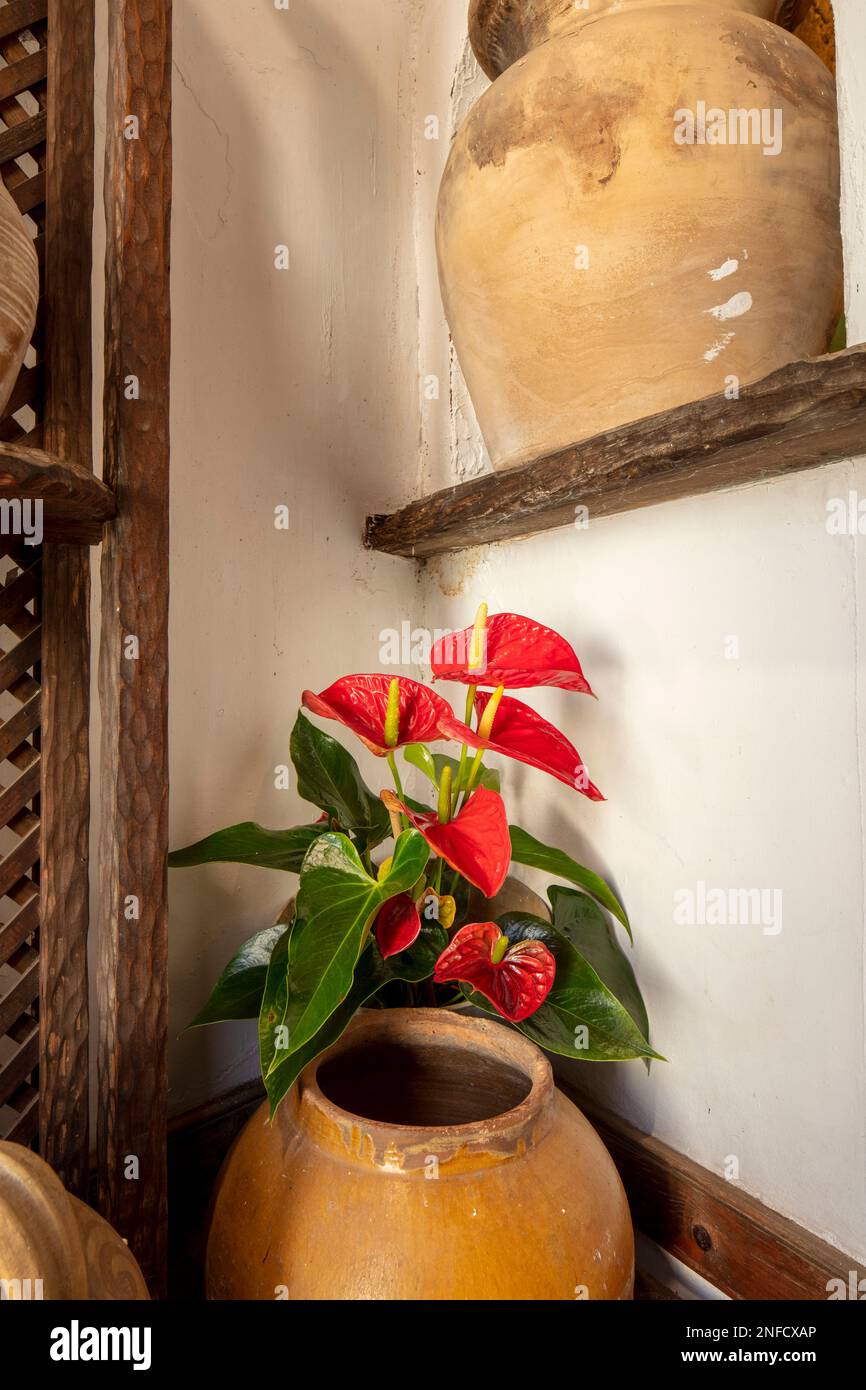 Intérieur de la Casa de los Balcones, la Orotava, Tenerife, Iles Canaries, Espagne, touristes, tourisme, soleil d'hiver. Complexe de musées historiques Banque D'Images