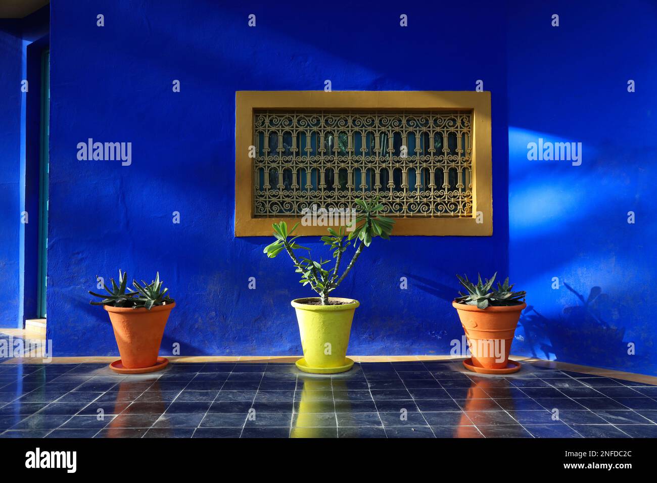 Bâtiment bleu dans les jardins historiques de Majorelle (le jardin Majorelle) à Marrakech, Maroc. Banque D'Images