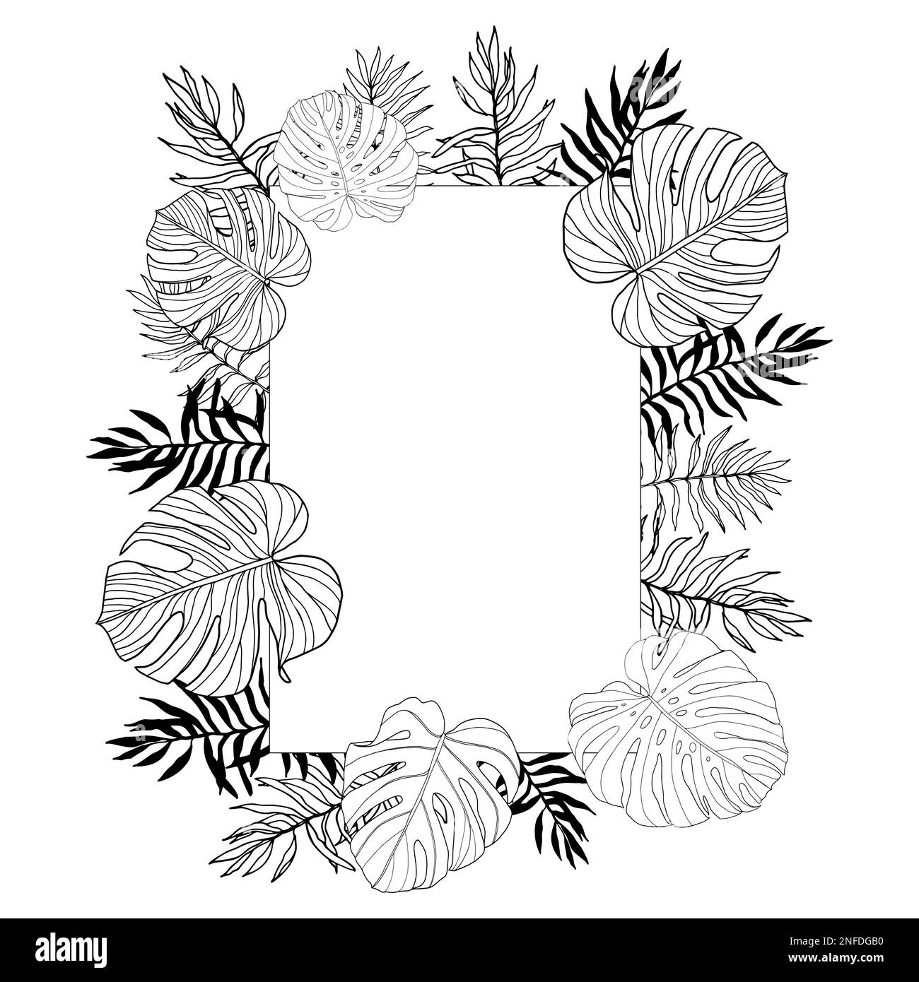 Cadre carré avec tropical, feuilles de jungle, dessiné à la main, noir et blanc Illustration de Vecteur Cadre carré avec tropical, feuilles de jungle, dessiné à la main, noir et blanc Illustration de Vecteur