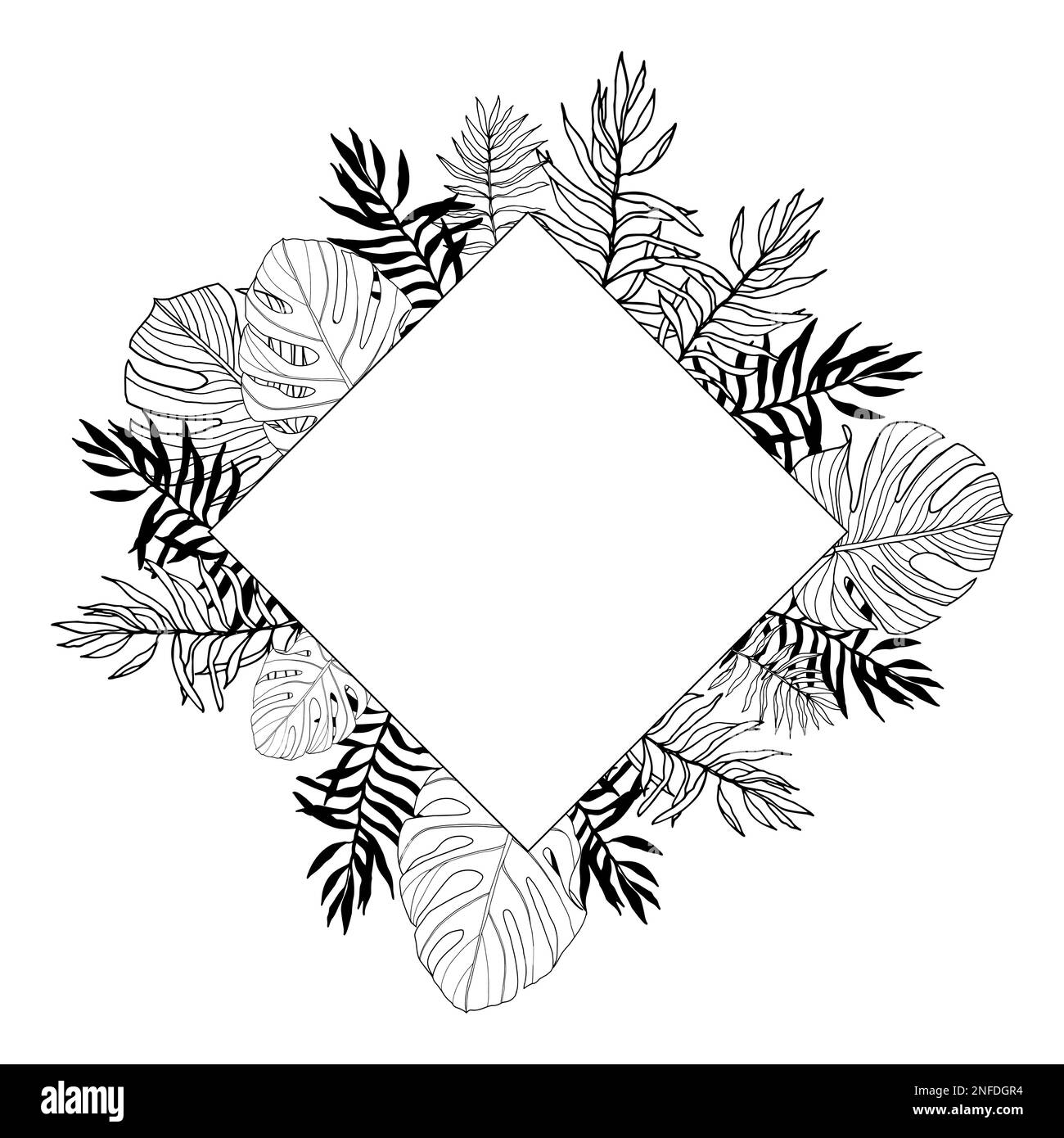 Cadre carré avec tropical, feuilles de jungle, dessiné à la main, noir et blanc Illustration de Vecteur Cadre carré avec tropical, feuilles de jungle, dessiné à la main, noir et blanc Illustration de Vecteur