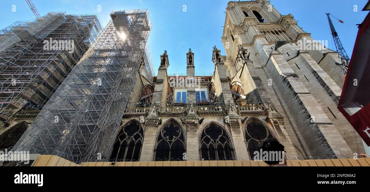 Cathédrale notre Dame de Paris, France. Banque D'Images