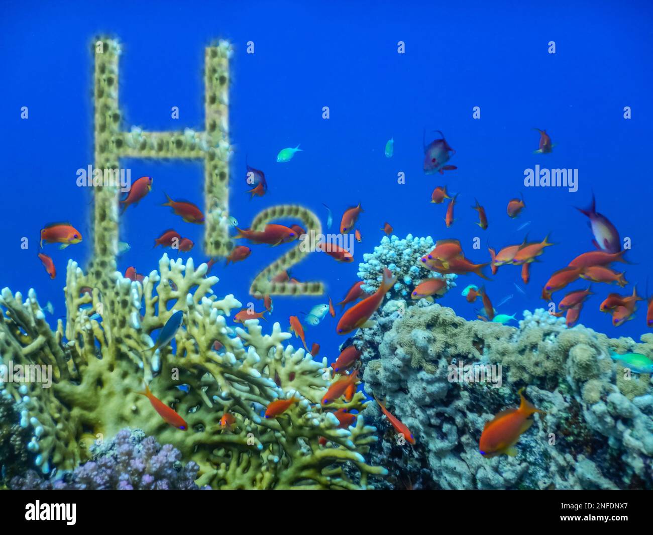 3D illustration énergie renouvelable pure jaune H2 hydrogène dans de l'eau bleu profond avec des poissons colorés sur des coraux Banque D'Images
