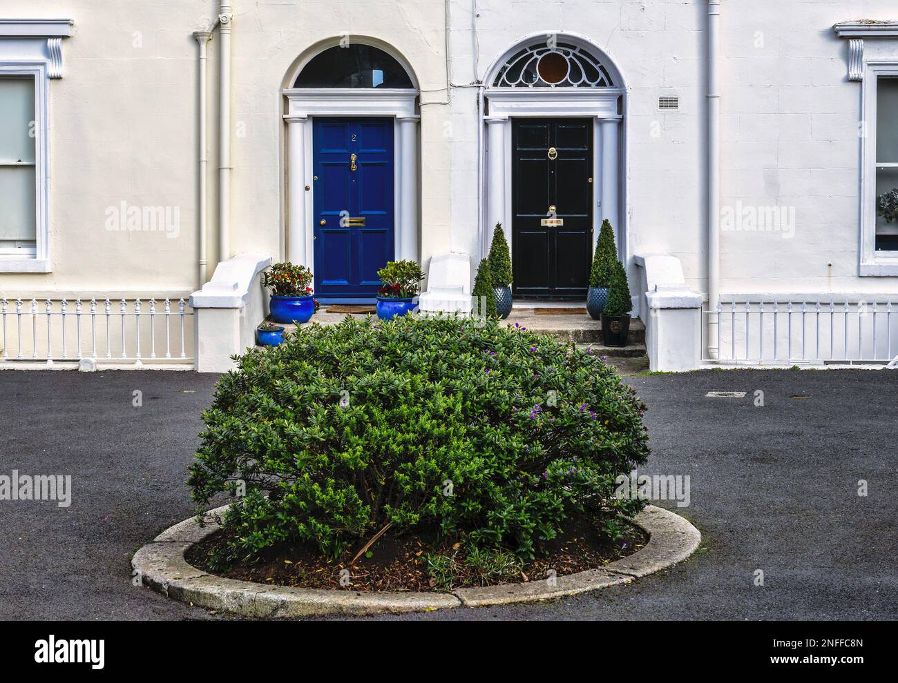 allée couverte d'un arbre menant à une rangée de maisons Banque D'Images