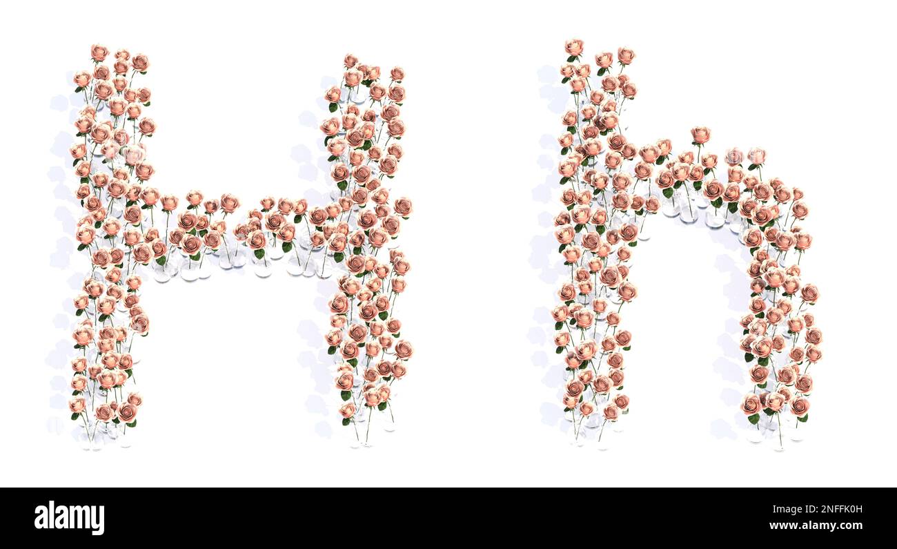 Concept ou ensemble conceptuel de superbes bouquets roses roses fleuris formant la police H. 3D métaphore d'illustration pour l'éducation, le design et la décoration, Banque D'Images