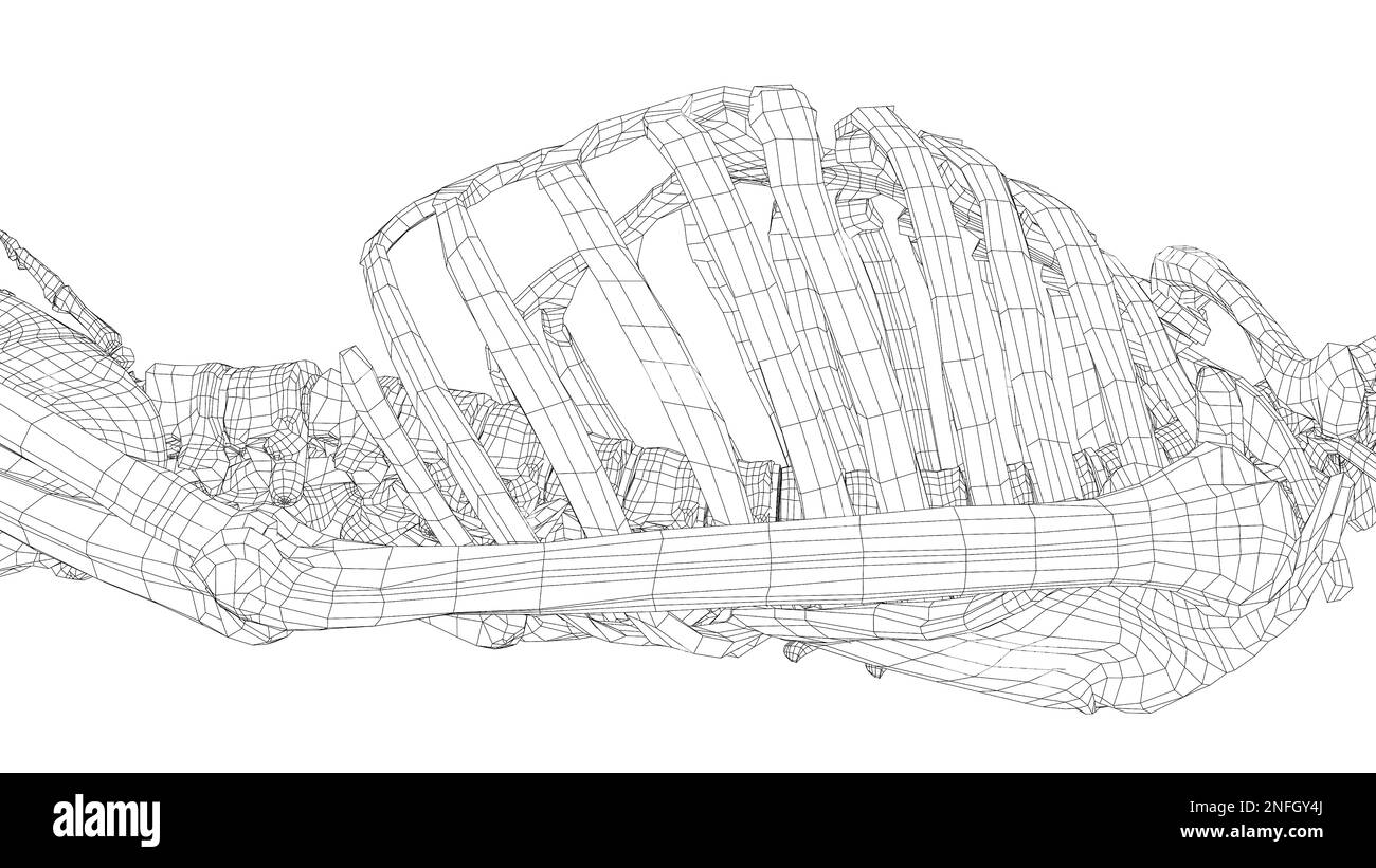 Squelette humain. 3d illustration Banque D'Images