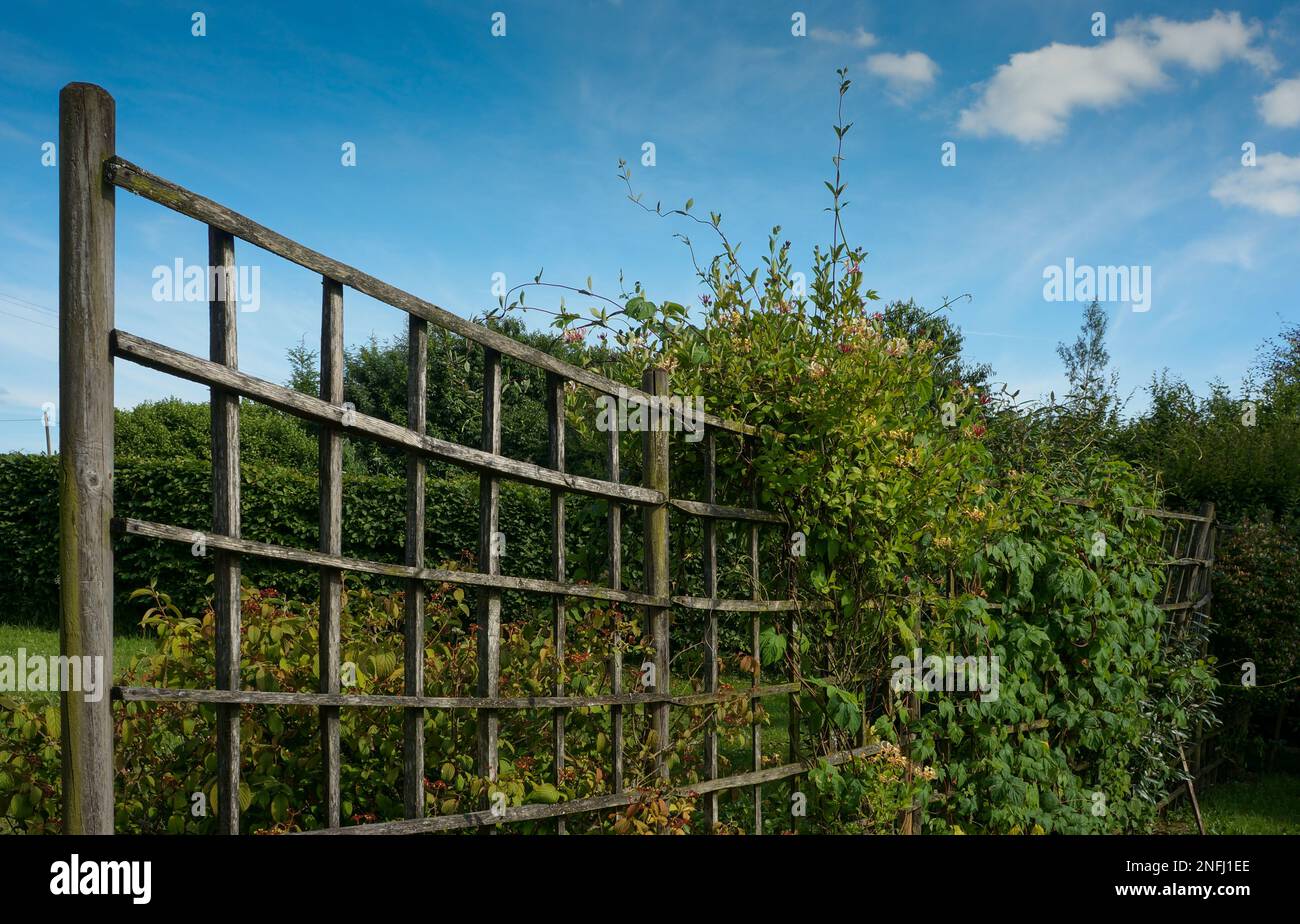 Treillis de bois rustique dans un jardin de campagne français Banque D'Images