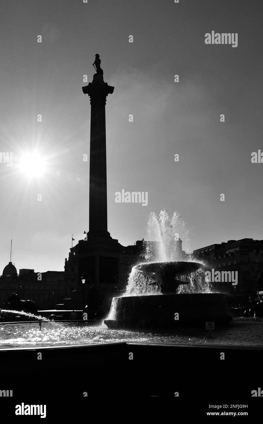 Une colonne et une fontaine Nelson monchrome rétroéclairée à Trafalgar Square, Londres, Angleterre, Royaume-Uni Banque D'Images