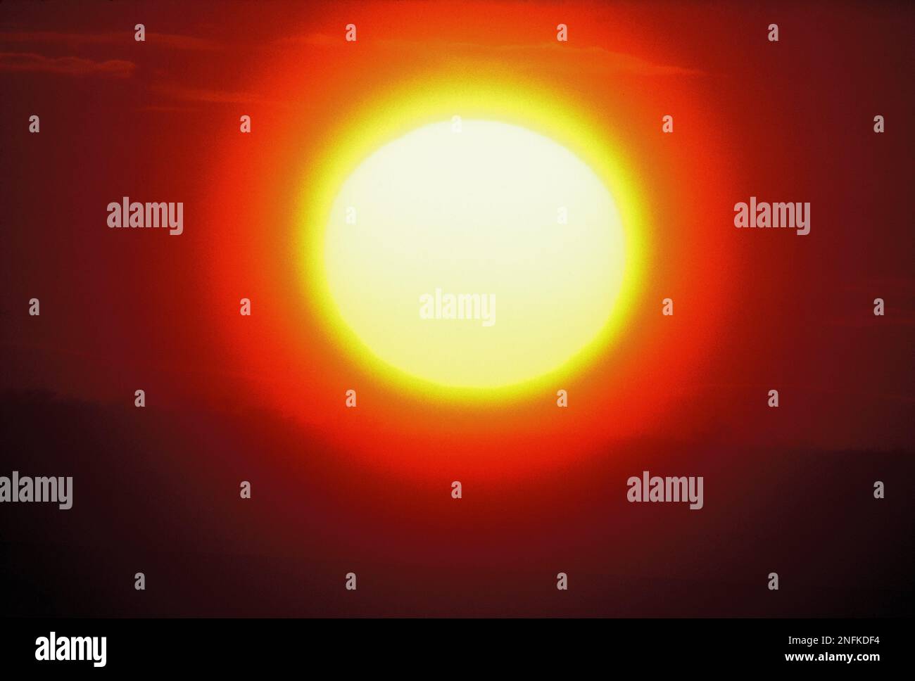 Australie. Victoria. Gros plan sur le paysage. Banque D'Images
