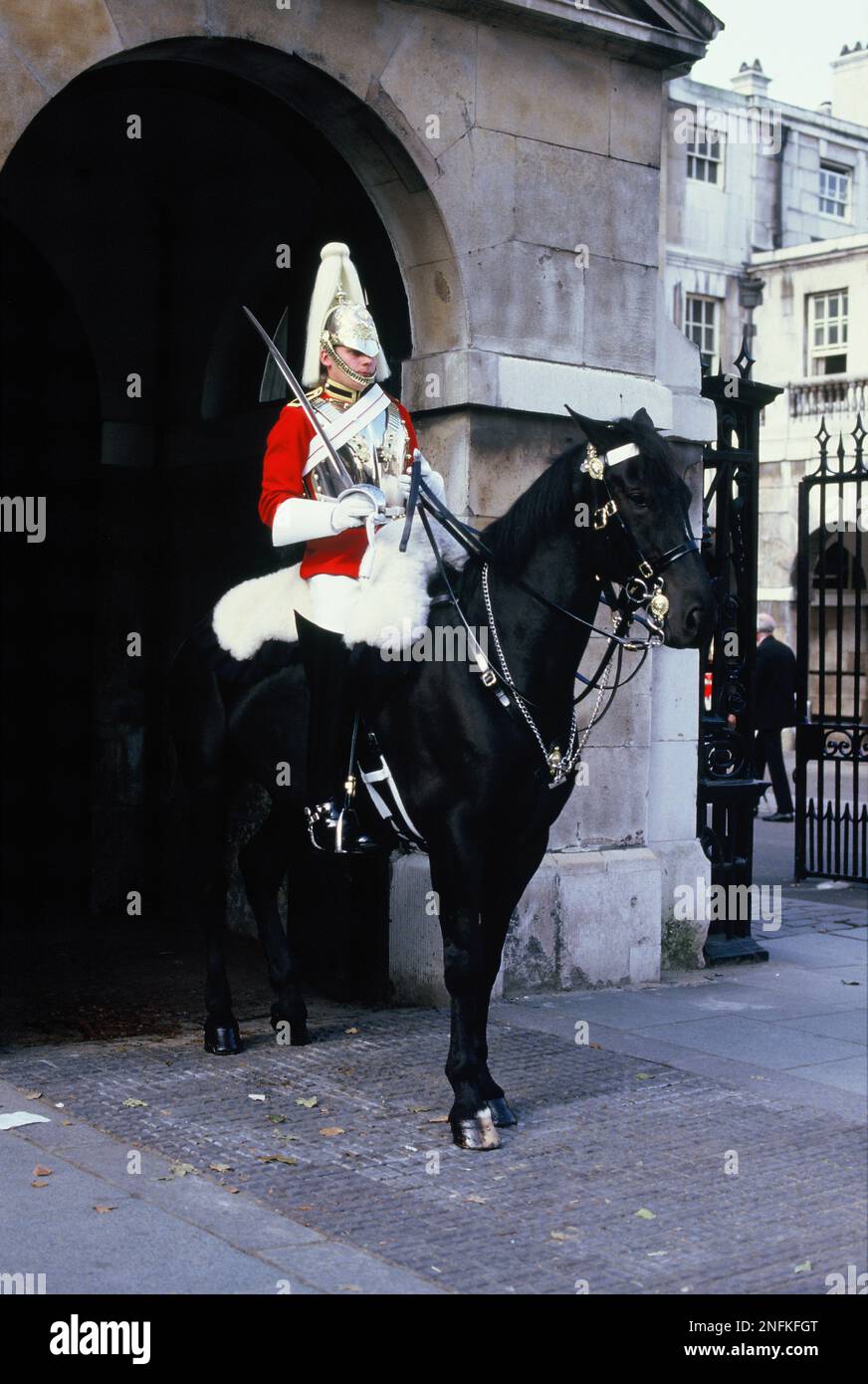 cheval-chevaux-garde-gardes-gardiennage-banque-de-photographies-et-d