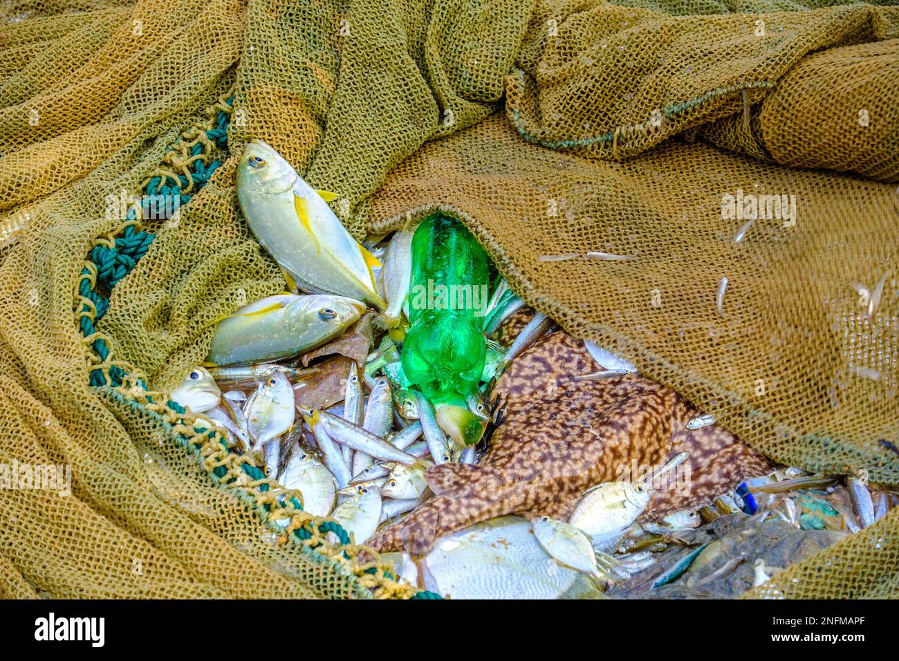 bouteille en plastique parmi les prises dans un filet de pêcheur. Côte sud du Sri Lanka dans l'océan Indien Banque D'Images