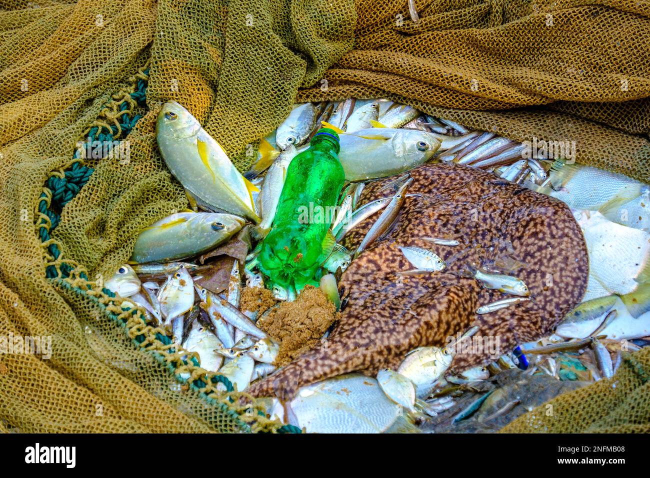 bouteille en plastique parmi les prises dans un filet de pêcheur. Côte sud du Sri Lanka dans l'océan Indien Banque D'Images