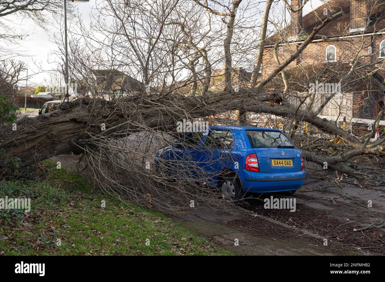 Chêne soufflé dans le gale, voiture de concassage. Surrey, Royaume-Uni. Janvier 2023 Banque D'Images