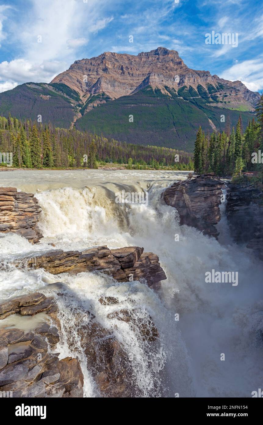 Chutes Athabasca et rivière athabasca, parc national Jasper, Canada. Banque D'Images