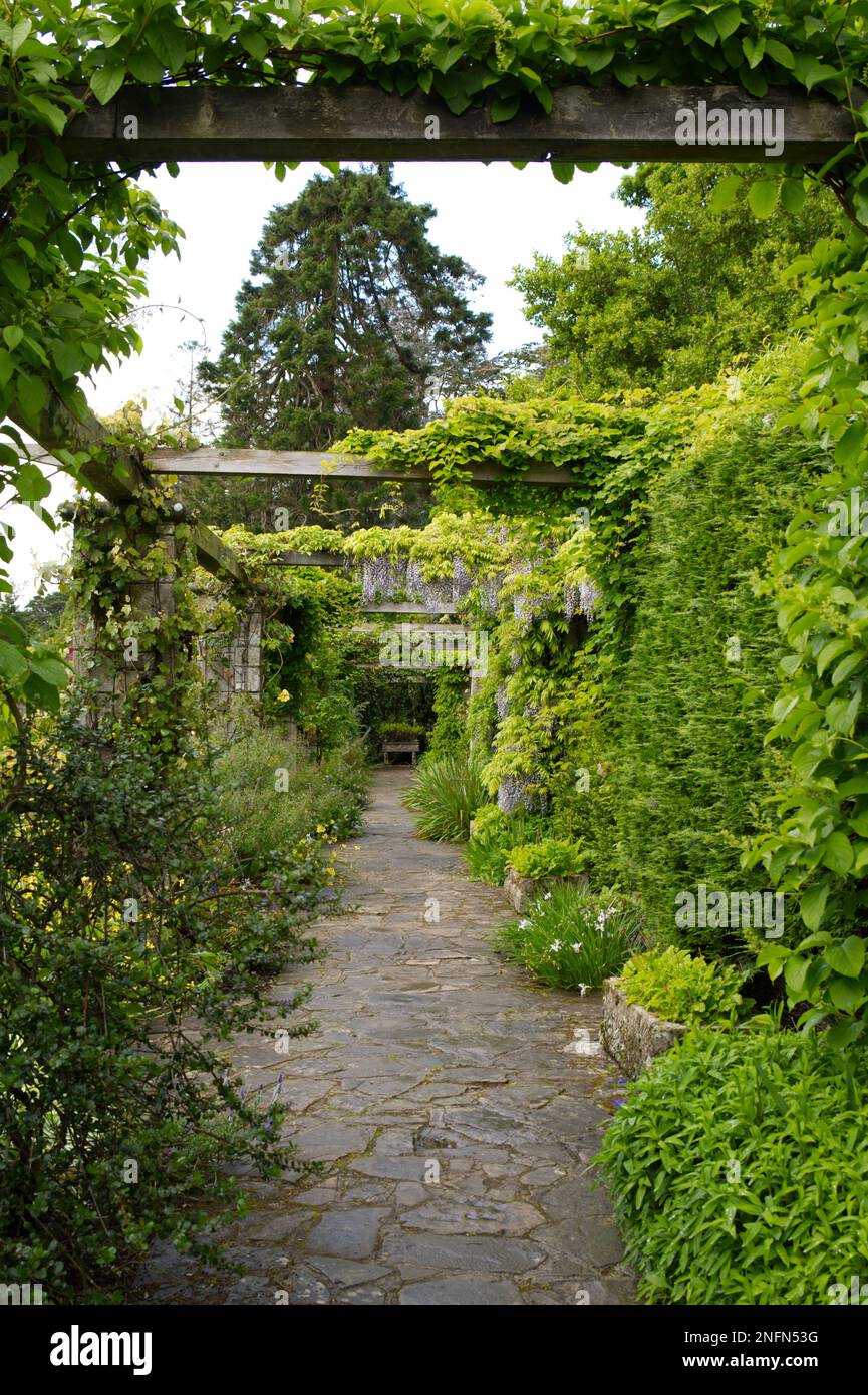 Au début de l'été, fleurs sur la promenade en pierre et bois de la pergola au jardin du Mount Stewart National Trust Irlande du Nord Mai Banque D'Images