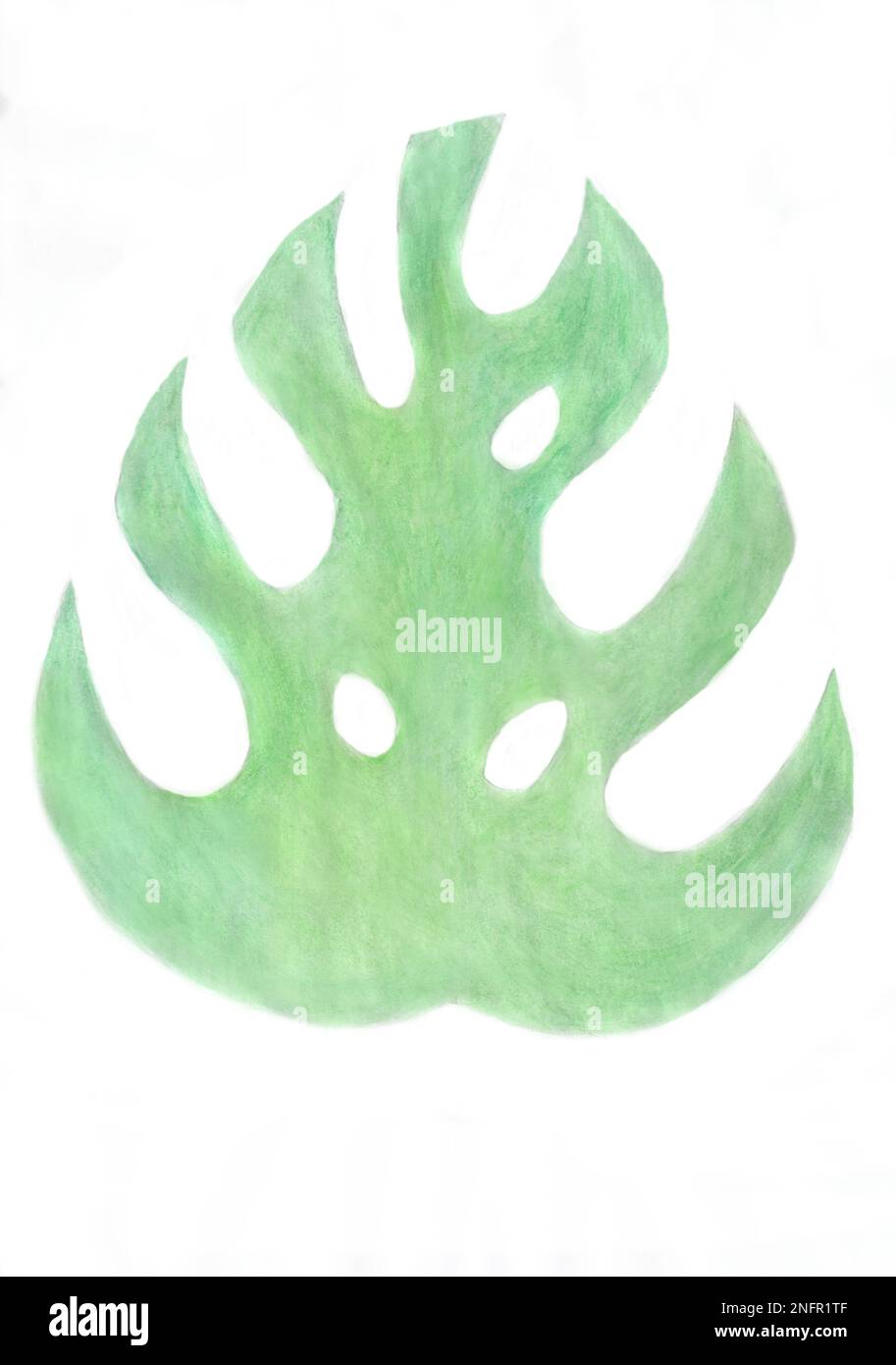 Grande feuille verte peinte de la plante monstère Banque D'Images