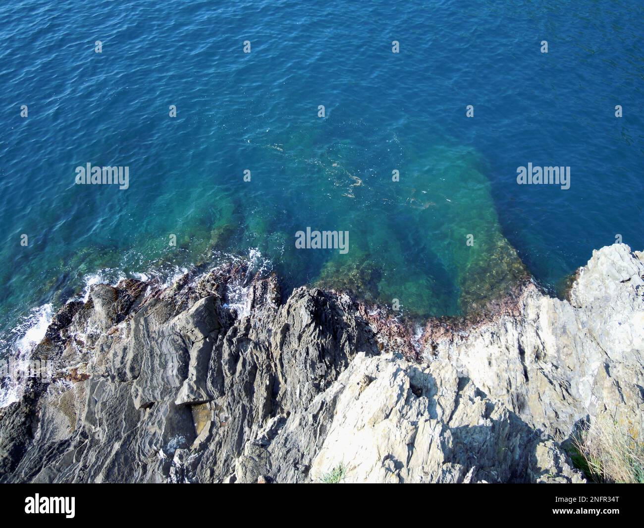 Cinque Terre, la Spezia, Ligurie, Italia, Europa Banque D'Images