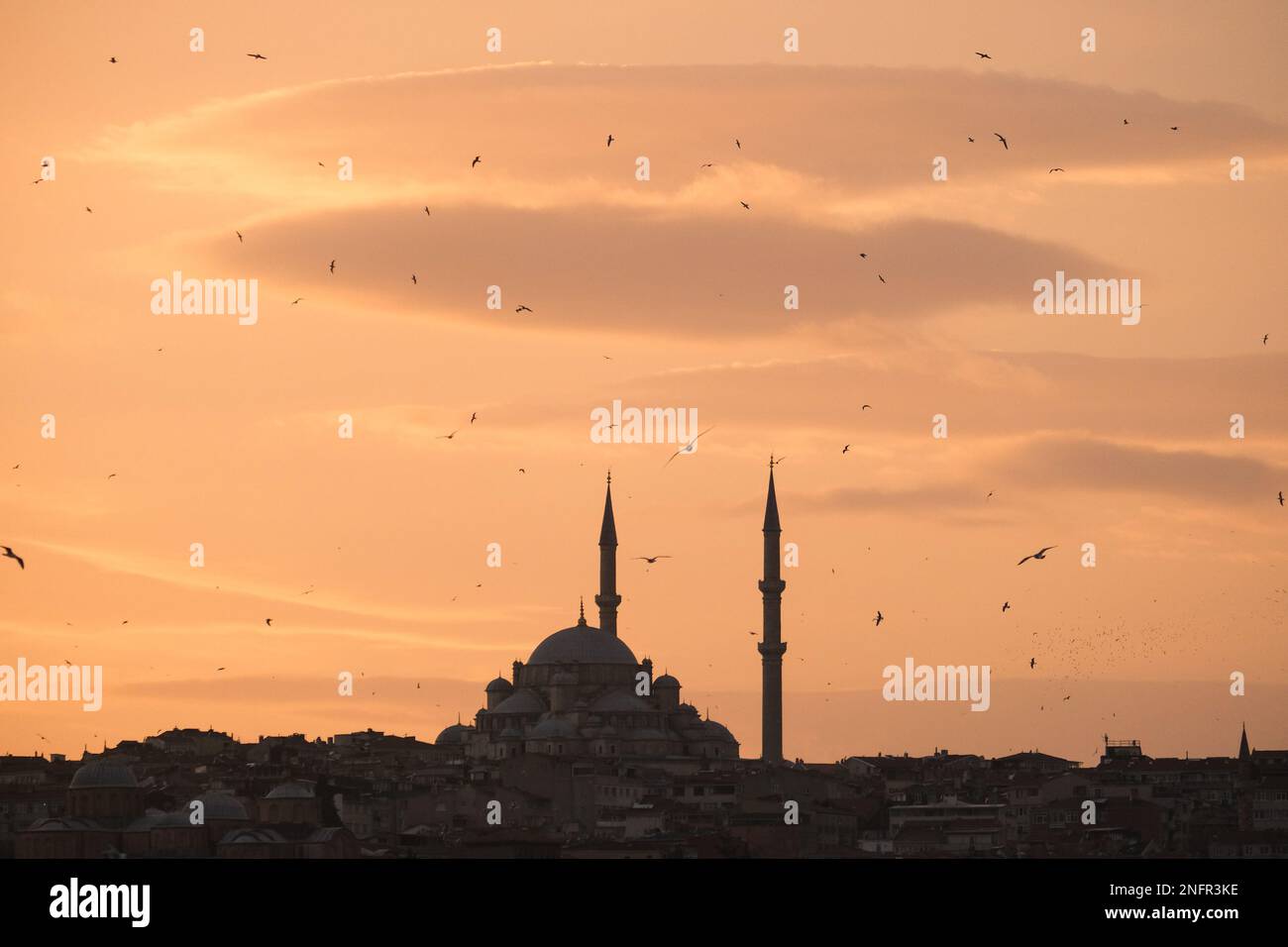 Golden hours coucher de soleil lumière inversée avec silhouette de mosquée et mouettes. Mosquée Ramadan concept. EID Moubarak. Mise au point sélective. Espace ouvert. Banque D'Images