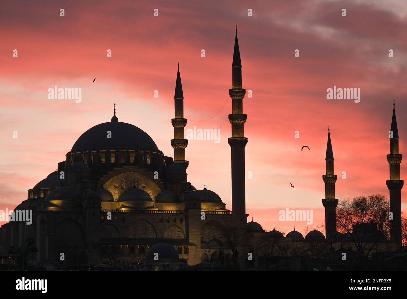 Golden hours coucher de soleil lumière inversée avec silhouette de mosquée et mouettes. Mosquée Ramadan concept. EID Moubarak. Mise au point sélective. Espace ouvert. Banque D'Images