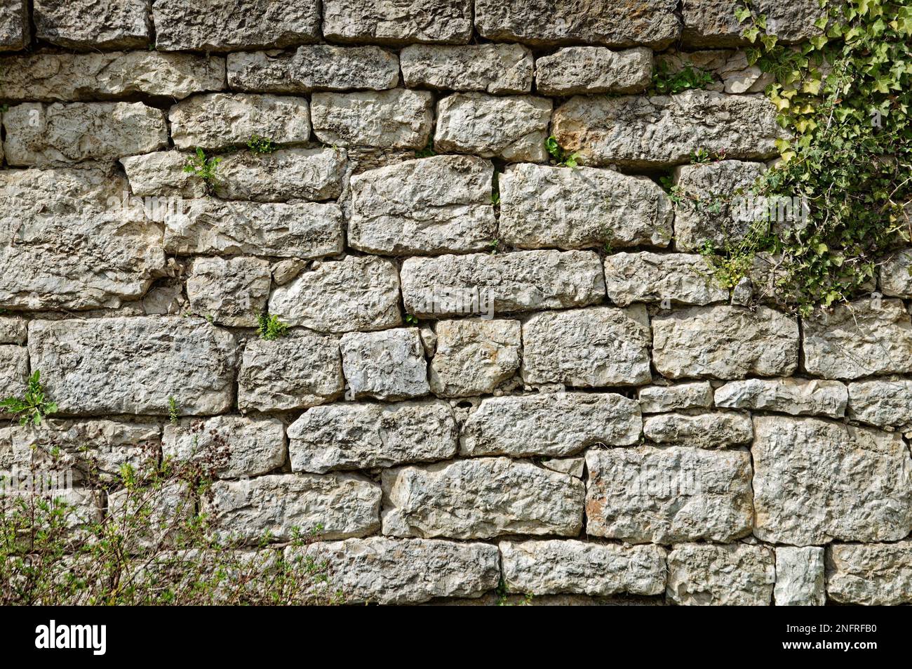 Un fond de texture de mur calcaire Banque D'Images