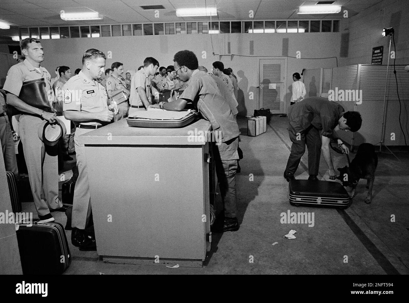 Marijuana-sniffing dog, at right, checks over luggage of departing U.S. troops as they process through customs at Tan Son Nhut's Camp Alpha on Feb. 1, 1973. Camp is the main processing center in South Vietnam for troop withdrawals. All troops must be out of Vietnam by the end of March. (AP Photo) Banque D'Images