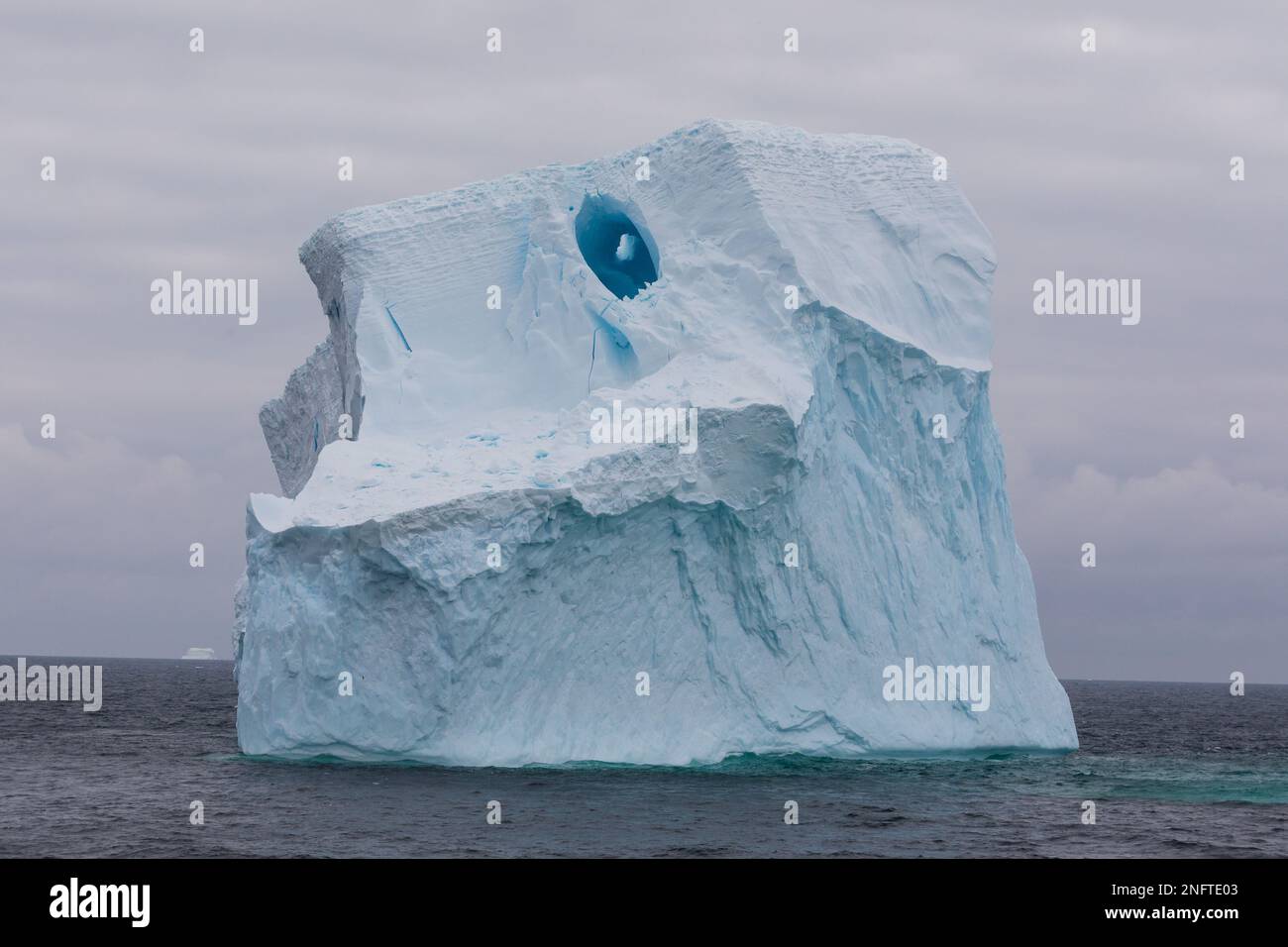 Dérive des icebergs de la péninsule antarctique vers les îles Orcades