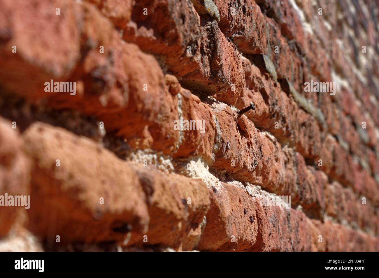 Le vieux mur de briques de la liaison anglaise a posé en mauvais état, érodé. Un clou rouillé colle. Banque D'Images