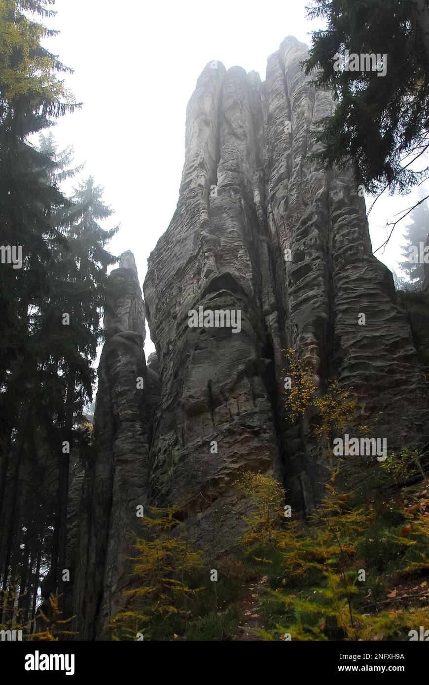 Paysage brumeux, Prachov Rocks, Prachovské skály, Český ráj, République Tchèque, Europe, depuis 1933, elles sont une réserve naturelle protégée. Banque D'Images