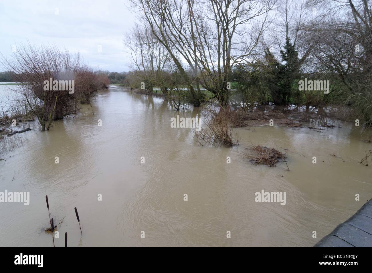 Inondations au pont Oxlane, Padbury Buckinghamshire. Le ruisseau Padbury à cet endroit inonde si régulièrement qu'il y a des signes à chaque extrémité de la route qui ca Banque D'Images