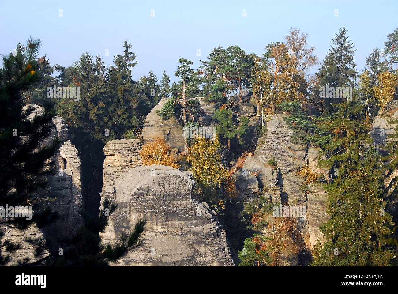 Prachov Rocks, Prachovské skály, Český ráj, République tchèque, Europe, Depuis 1933, ils sont une réserve naturelle protégée. Banque D'Images