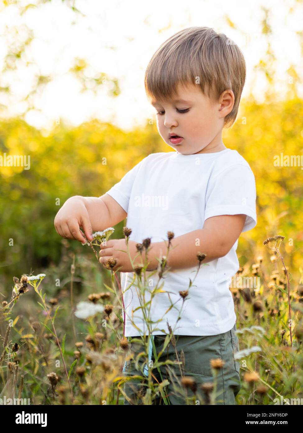 Le tout-petit explore la nature. Joli petit garçon joue avec des fleurs sur le terrain. Feuillage jaune d'automne sur fond. Banque D'Images