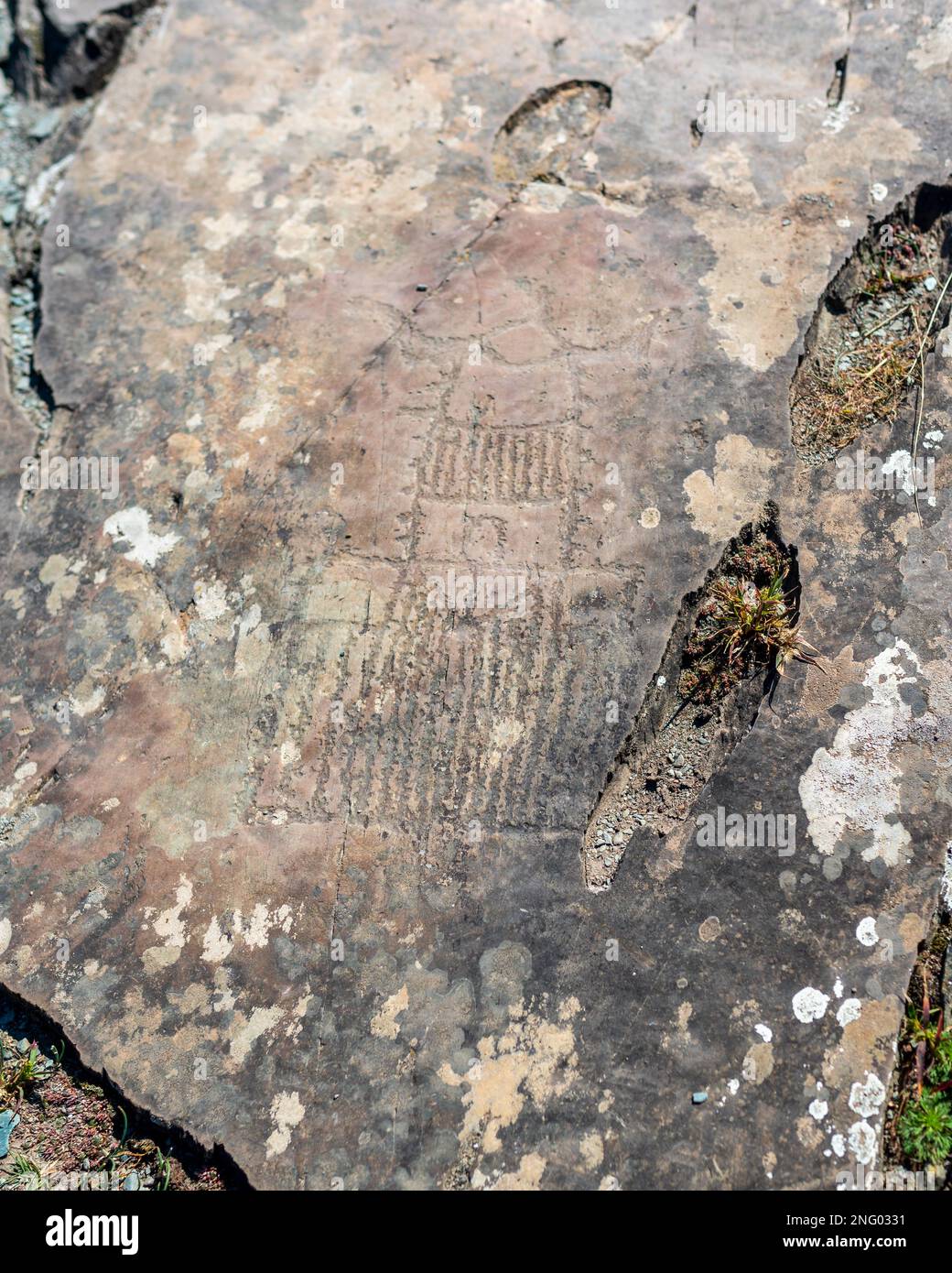 Pétroglyphes dessins de roche de personnes anciennes d'un vaisseau spatial inconnu sur des pierres dans les montagnes de l'Altaï en Sibérie pendant la journée. Banque D'Images