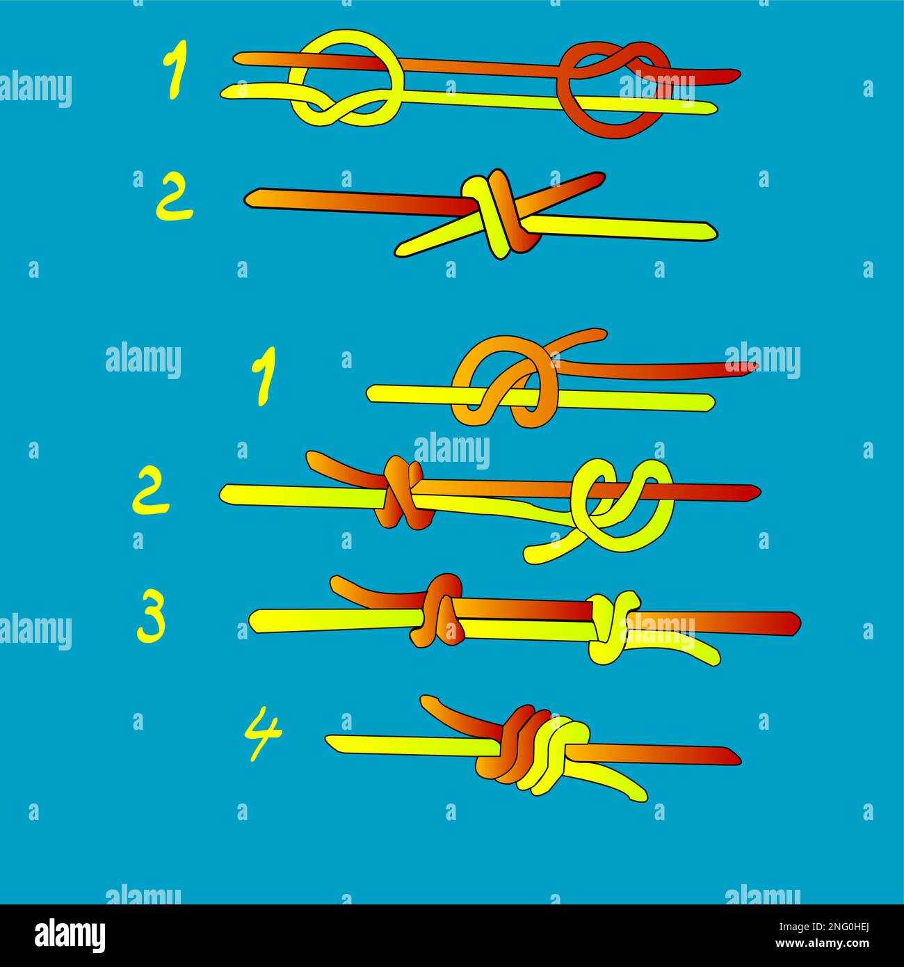 Fisherman's Knot et Double Fisherman's knot ; vector illustration ; Illustration de Vecteur