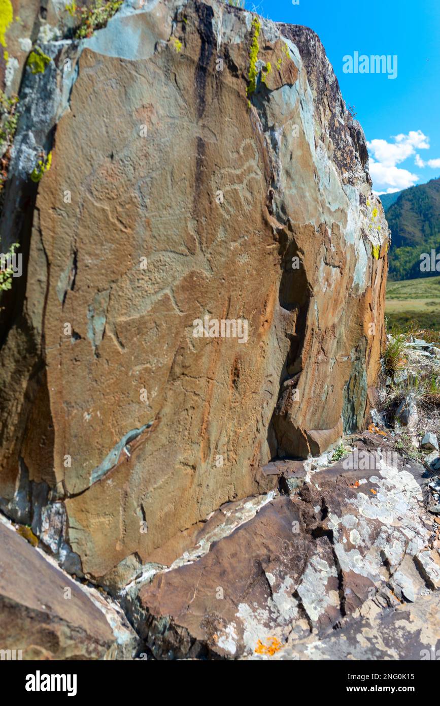 Pétroglyphes dessins de roche de l'ancien peuple animaux sur des pierres avec de la mousse derrière le panorama des montagnes de l'Altaï. Banque D'Images