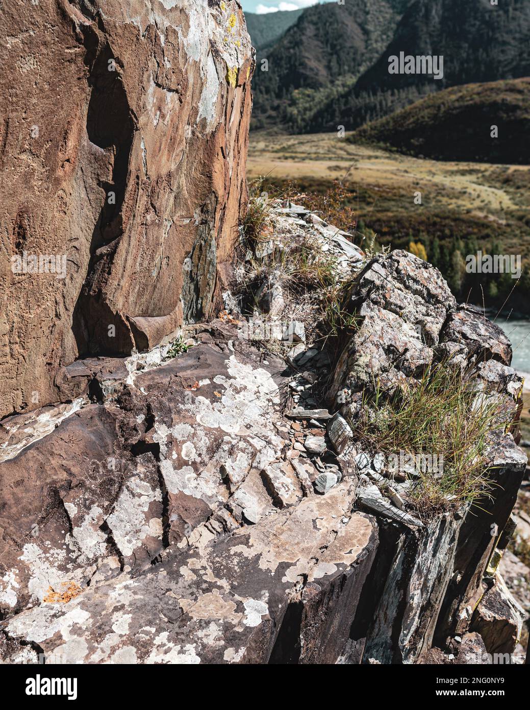 Les pétroglyphes dessins de roc des anciens cerfs animaux sur les pierres derrière le panorama des montagnes et de la rivière Altaï pendant la journée. Banque D'Images