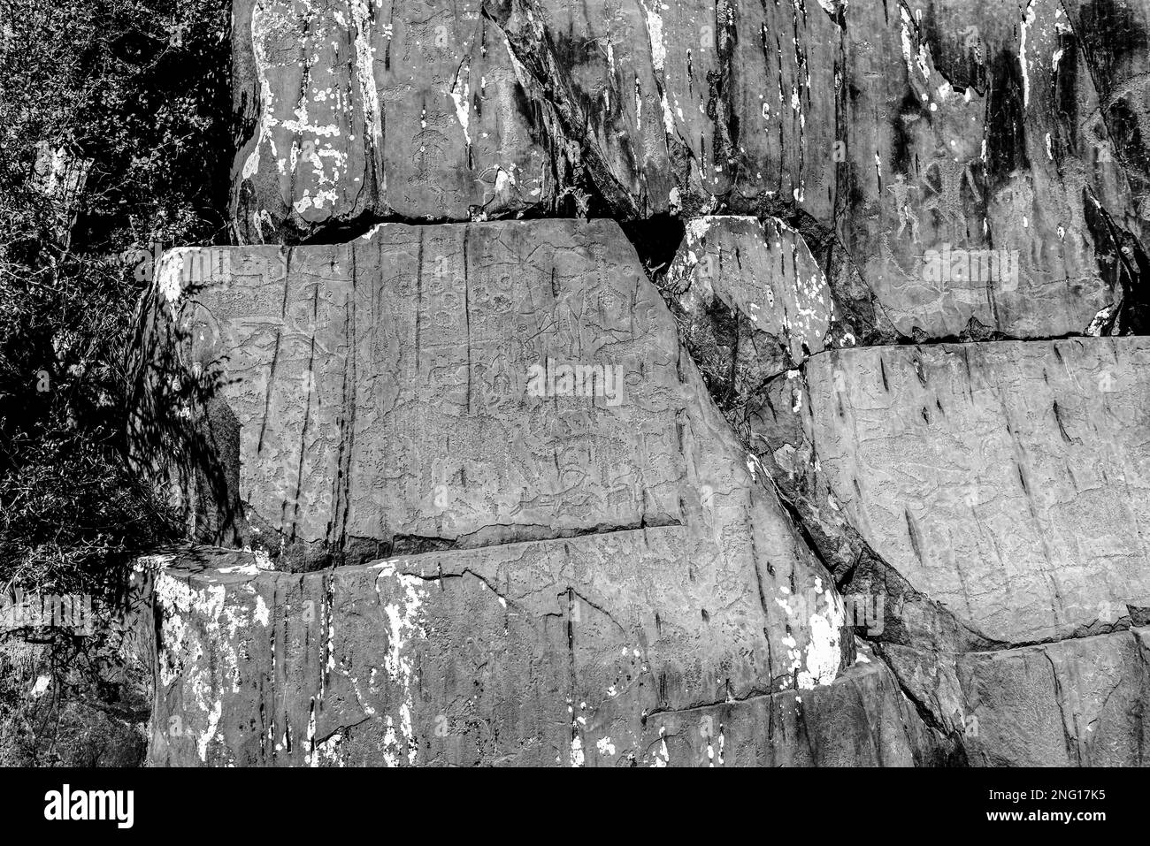 Rock dessin des anciens petroglyphes vaches et cerfs avec cornes et étranges guerriers sur les pierres dans les montagnes de l'Altaï dans l'afte Banque D'Images