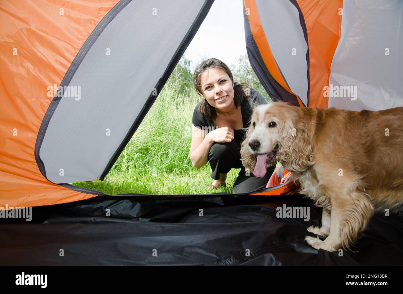 Femme regardant à l'intérieur d'une tente avec son mignon chien de Cocker en Suisse. Banque D'Images