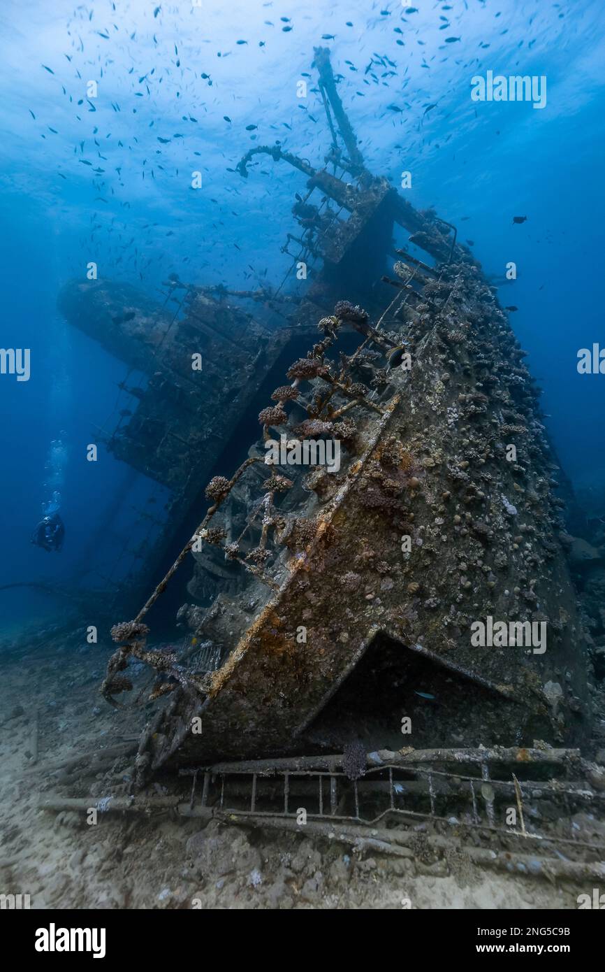 Giannis D. Shipwreck, Abu Nuhas, Shedwan Island, El Gouna, Wreck Diving, Égypte, Mer Rouge, Océan Indien Banque D'Images