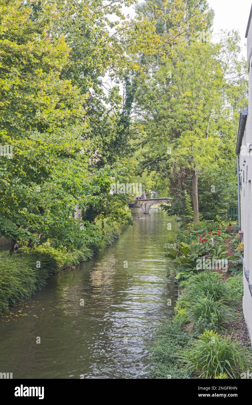 Un canal à Bruges, Flandre Occidentale, Belgique, Europe, UE Banque D'Images