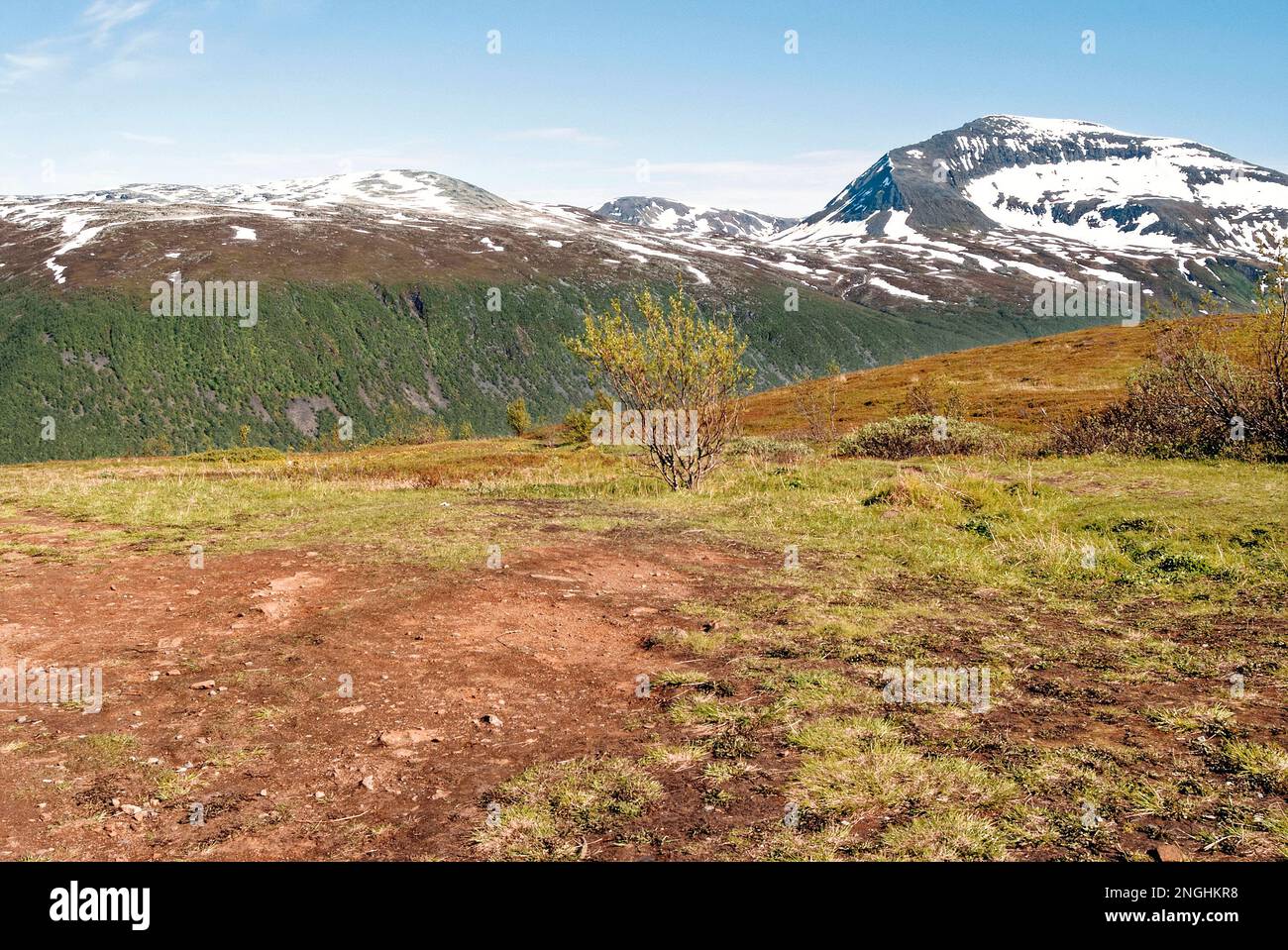 Magnifique paysage norvégien en été - Tromso - Norvège. 10.06.2012 Banque D'Images