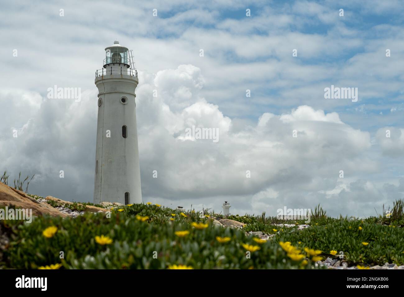 Phare de Seal point, cap St Francis, Afrique du Sud. Banque D'Images