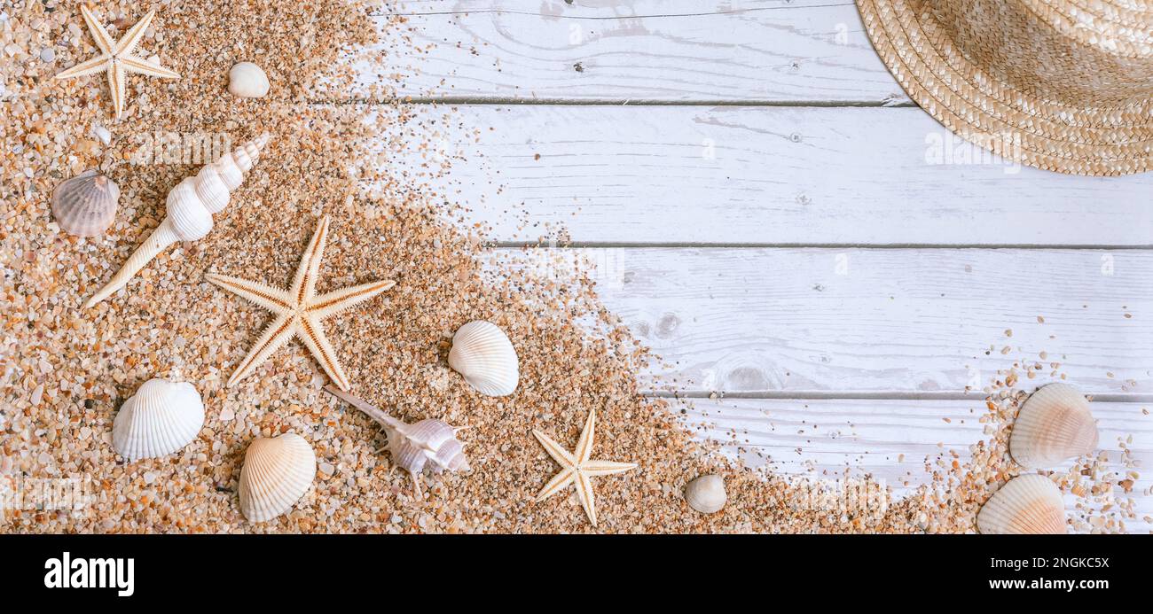 Sable coquillages arrière-plan plus baner. Concept de l'heure d'été avec coquillages et étoiles de mer sur fond de bois et de sable Banque D'Images