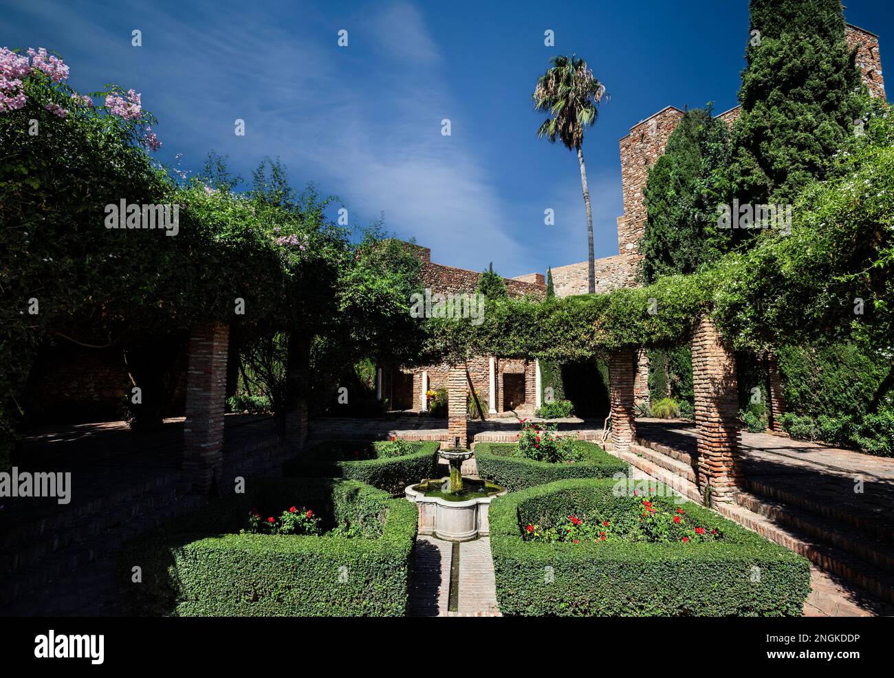 Un petit parterre dans l'Alcazaba, une fortification palatiale à Málaga, en Espagne, construit pendant la période d'Al-Andalusv dirigé par des musulmans au 10th siècle. Banque D'Images