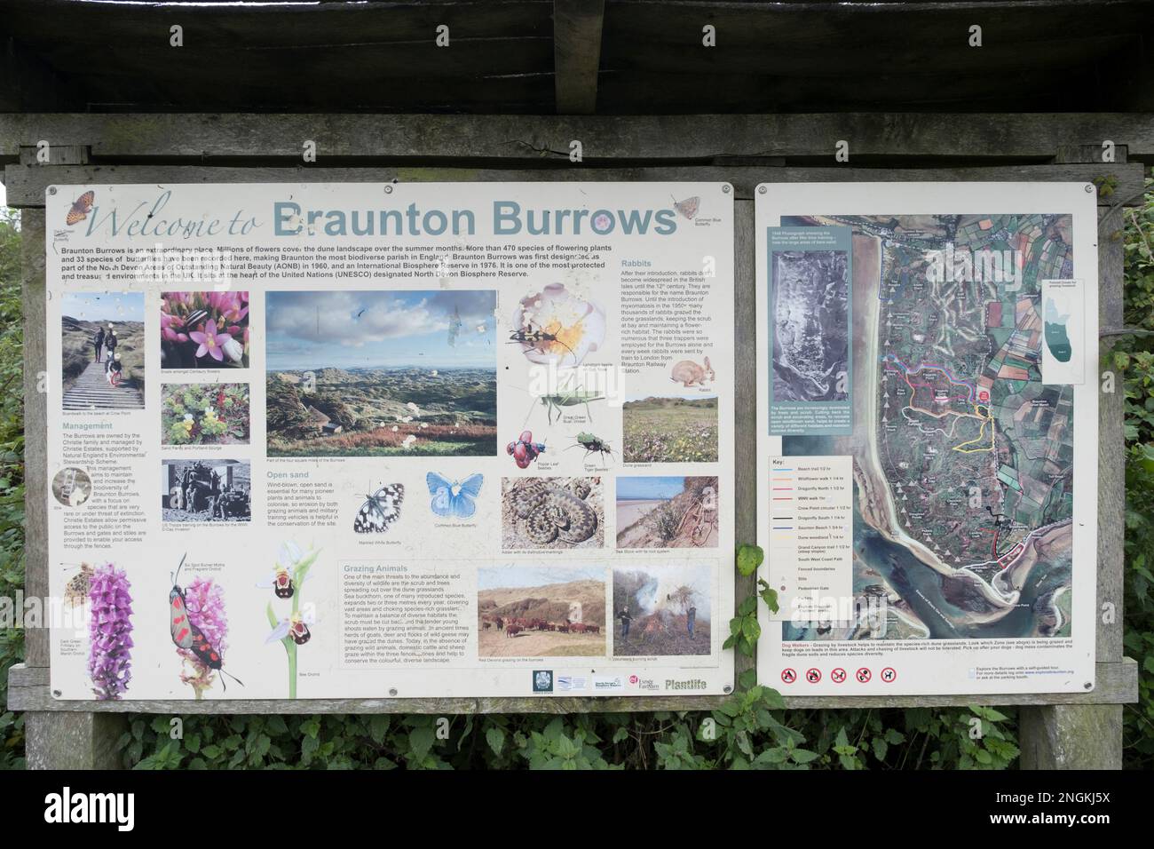 Office du tourisme indiquant les promenades sur les sentiers de randonnée dans les terriers de Braunton Burrows, Devon, Royaume-Uni. Banque D'Images